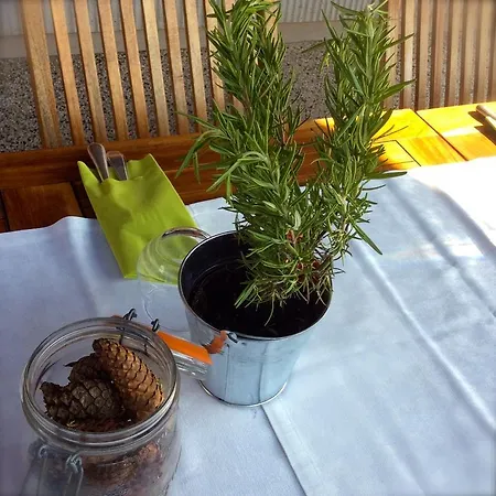 Hotel Restaurant Perle Des Vosges Muhlbach-sur-Munster