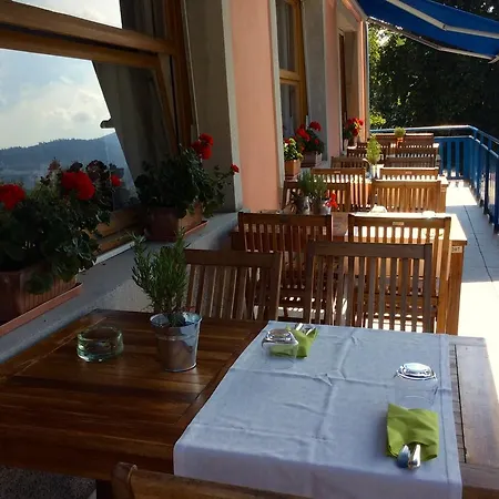 Hotel Logis Hotel-restaurant Perle Des Vosges 3*