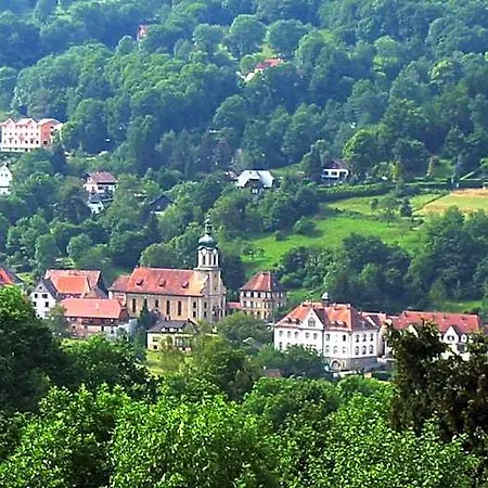 Hotel Logis Hotel-restaurant Perle Des Vosges 3*
