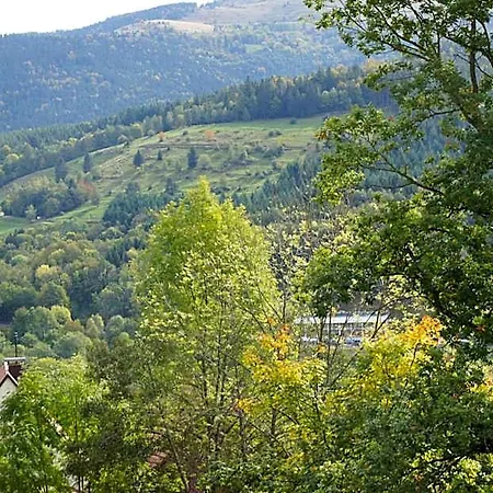 Hotel Logis Hotel-restaurant Perle Des Vosges Muhlbach-sur-Munster