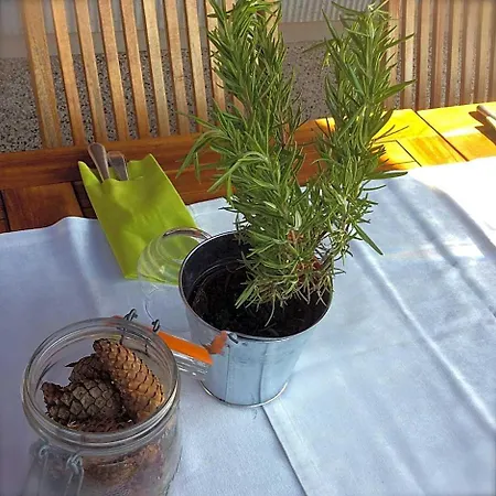 Logis Hotel-restaurant Perle Des Vosges Hotel 3*