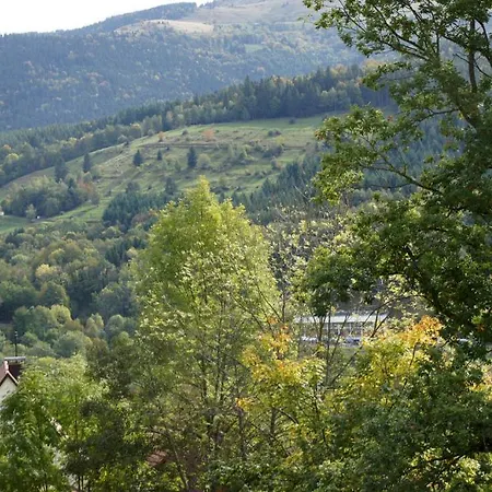 Logis Hotel-restaurant Perle Des Vosges Hotel