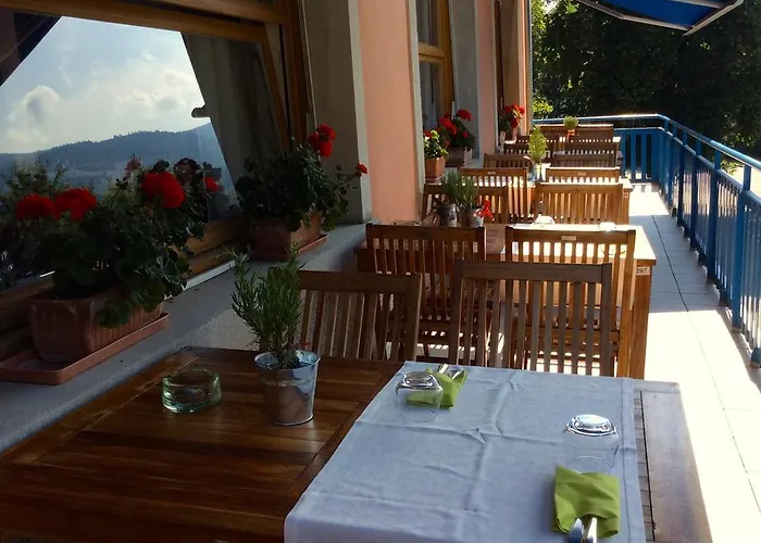 Hotell Logis Hotel-restaurant Perle Des Vosges 3*
