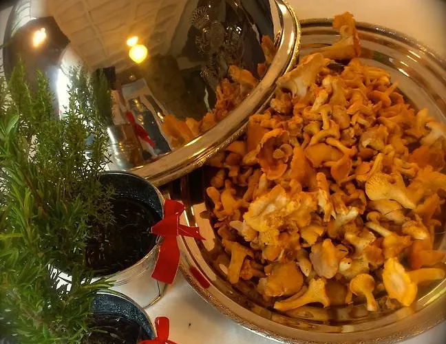 Hotell Logis Hotel-restaurant Perle Des Vosges