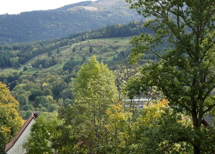 Logis Hotel-restaurant Perle Des Vosges Hotell