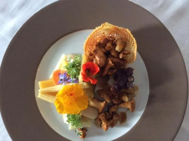Logis Hotel-restaurant Perle Des Vosges Hotell
